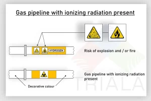 BASIC IDENTIFICATION AND CODE INDICATIONS