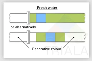 BASIC IDENTIFICATION AND CODE INDICATIONS
