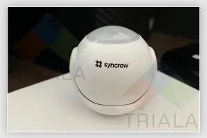 Engraving – Switchplate