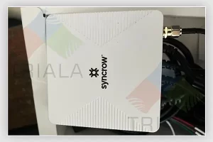 Engraving – Switchplate